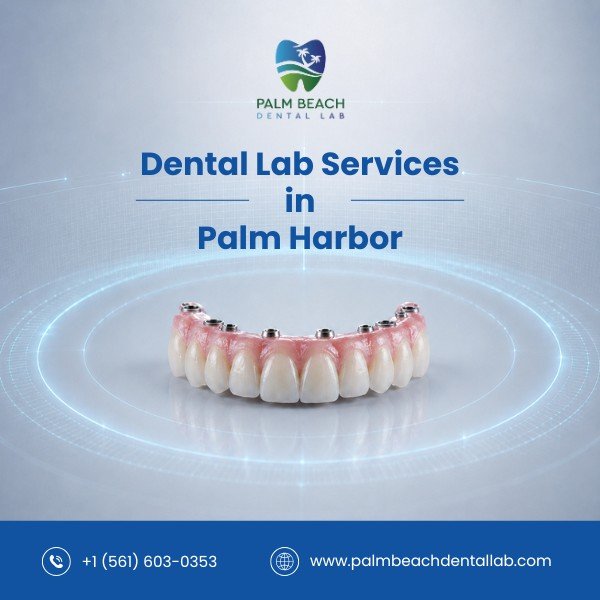 Dental Labs in Palm Harbor