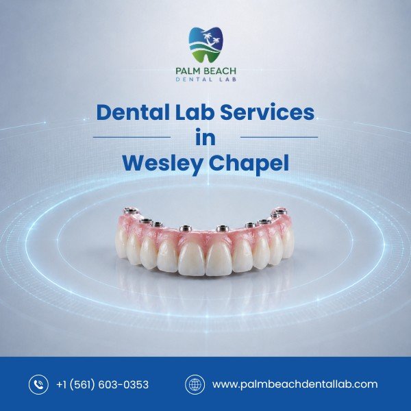 Dental Labs in Wesley Chapel